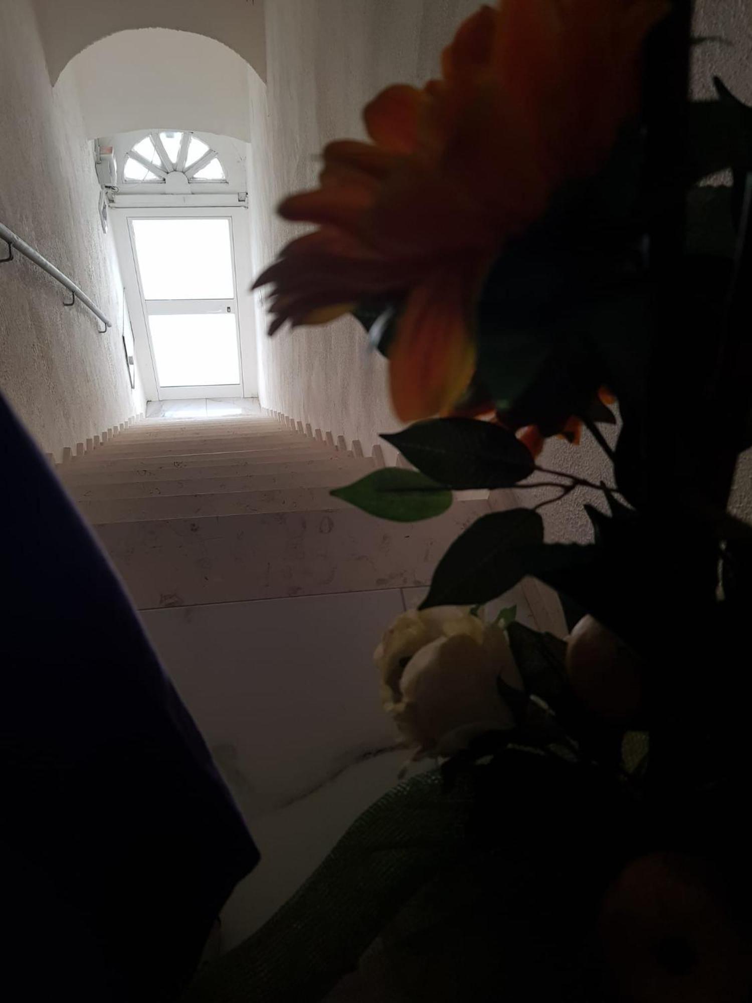 Di Fronzo Guest House T ทริจเจียโน ภายนอก รูปภาพ